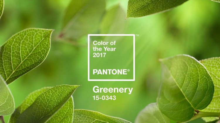 pantone color of the year 2017